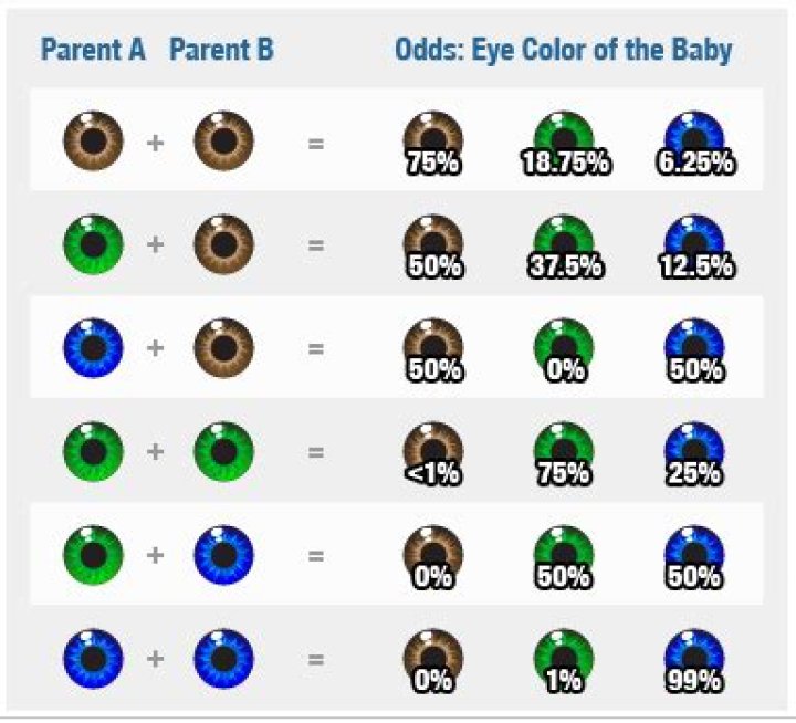 Can 2 brown-eyed parents produce green eyes?