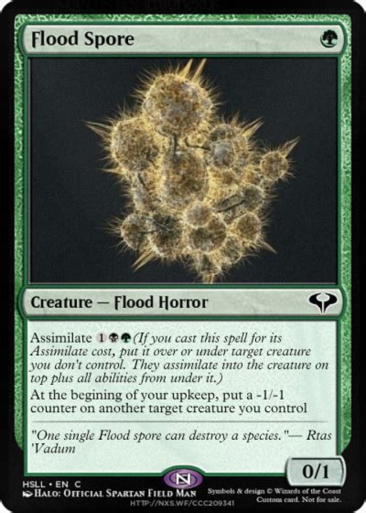 What is a Flood Spore?