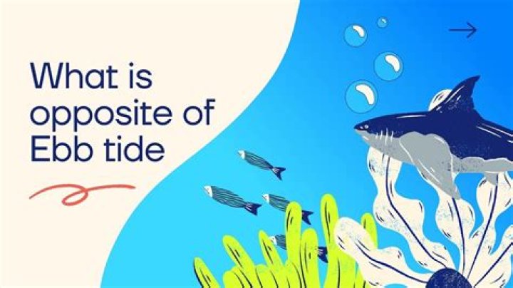 What is opposite of ebb tide?